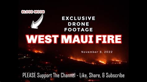 The discovery of millions of fire ants in Kauai, Hawaii, marks the island's . . Hawaii fire 2022